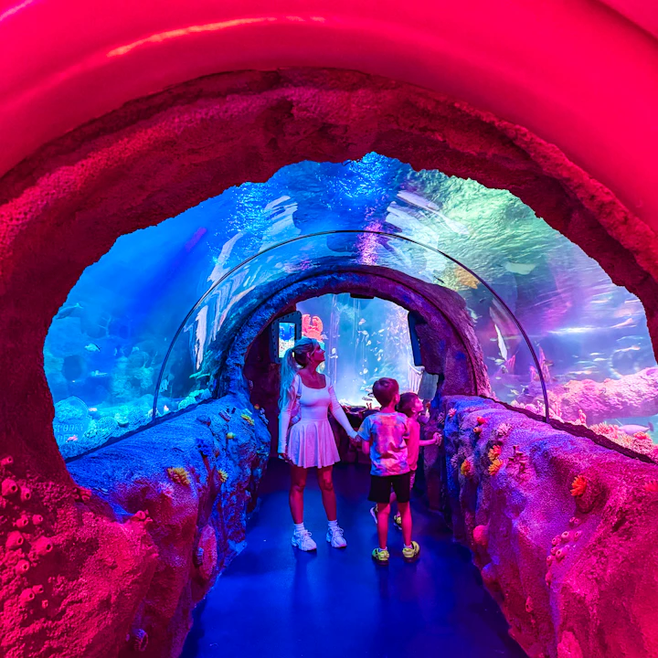 LEGOLAND Florida - 1 Day Ticket Ticket